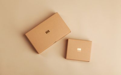 Top 10 des entreprises de livraison de commandes e-commerce en France